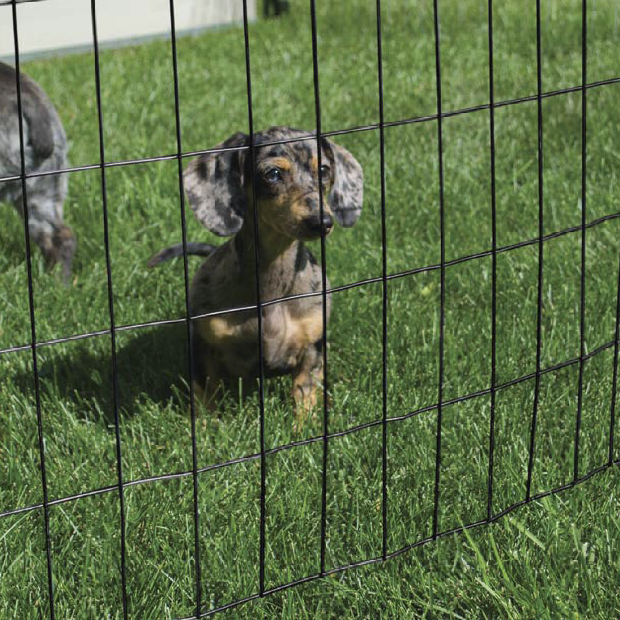 black privacy fence