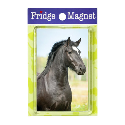 Fridge Magnet