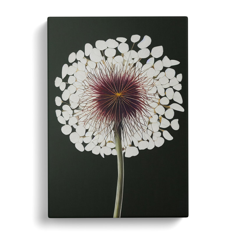 Dandelion - Wrapped Canvas, 50cm H x 35cm W x 3cm D