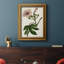 Mauve Botanicals I - impression-517422340