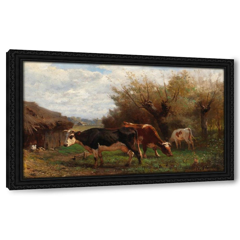 Cows Grazing