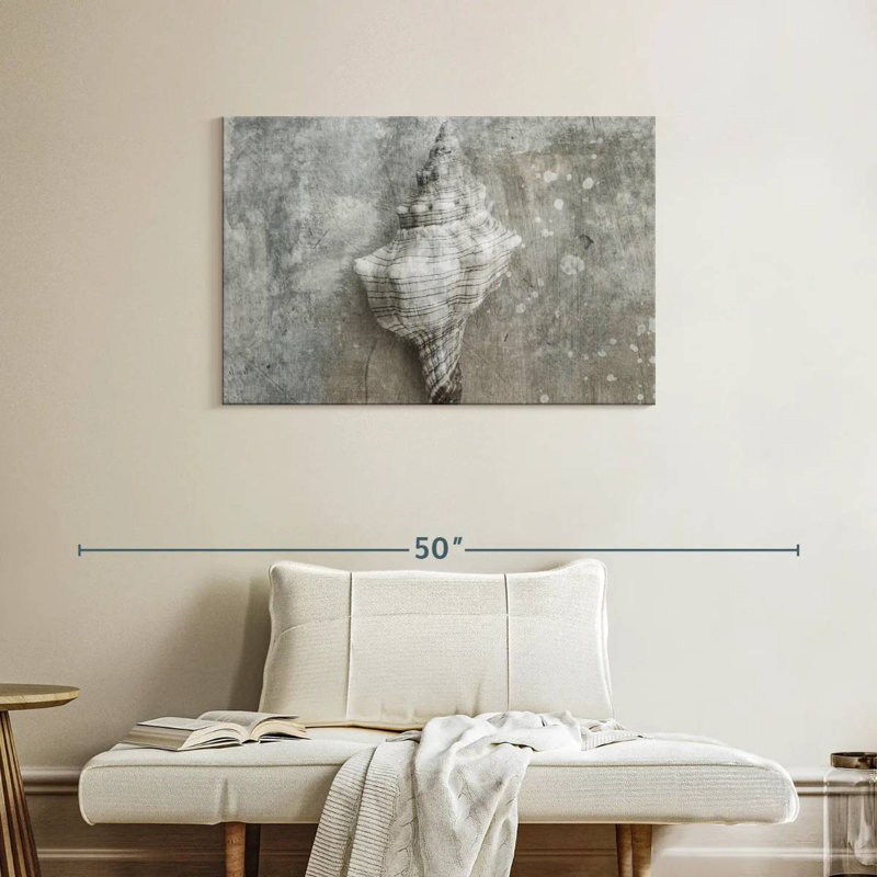 Coquillage Aletra conque gris, H 24 po x l 36 po