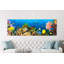 Life In The Coral Reef, Maldives by Pangea Images - Wrapped Canvas Print-549048605