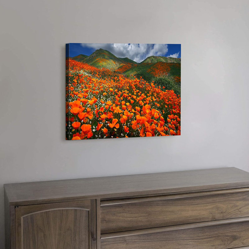 Wrapped Canvas Print