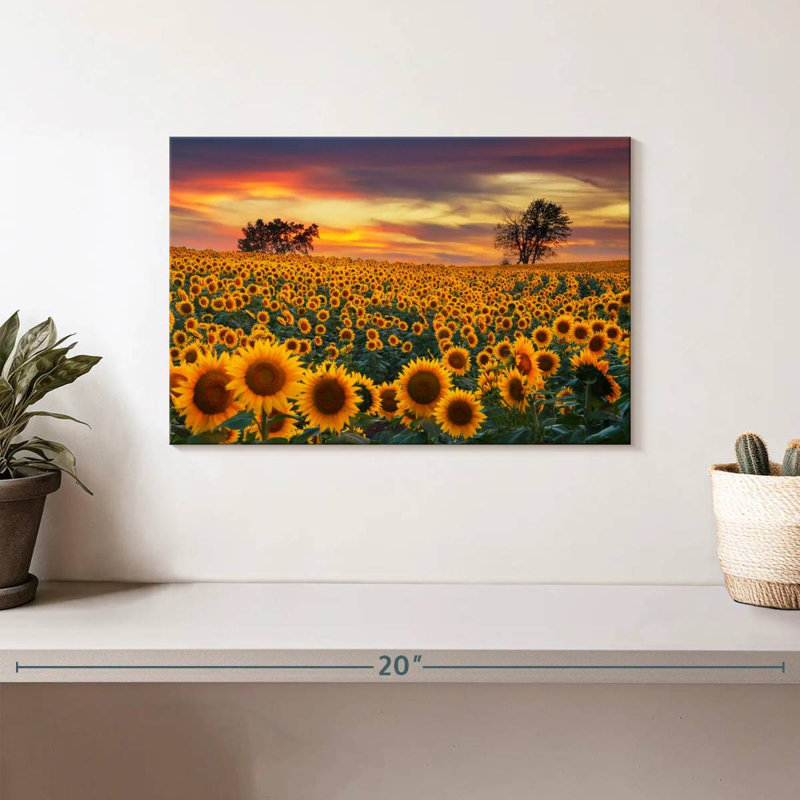 Crépuscule champ de tournesol Alvord, H 8 po x l 12 po