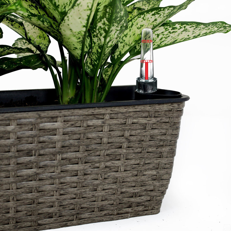 2-Pack Self-Watering Planter - Hand Woven Wicker - Rectangular, Dark Brown