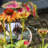 LeChee Metal Weather Resistant Plant Support