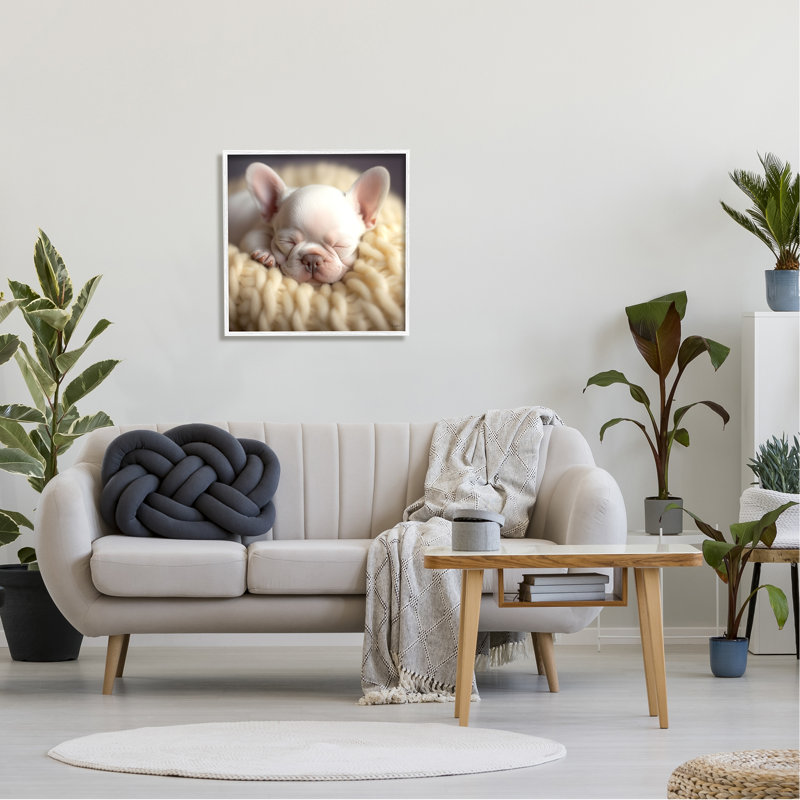 «Tiny Puppy Sleeping» par Roozbeh, reproduction de photo sur toile, Giclée encadrée blanc bord de mer, H 12 po x l 12 po
