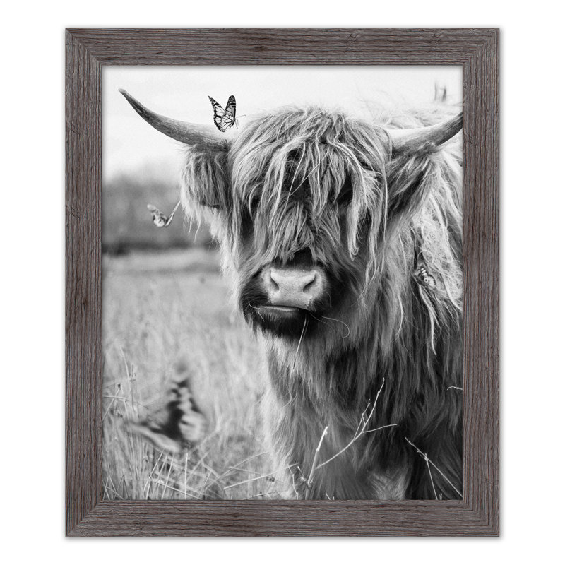 Noir et blanc Highland Cow - peinture encadrée