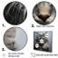 Maine Forestcat Majesty Cat II - art mural chat-95894406-95894411
