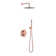 Complete Shower System with Rough-in Valve