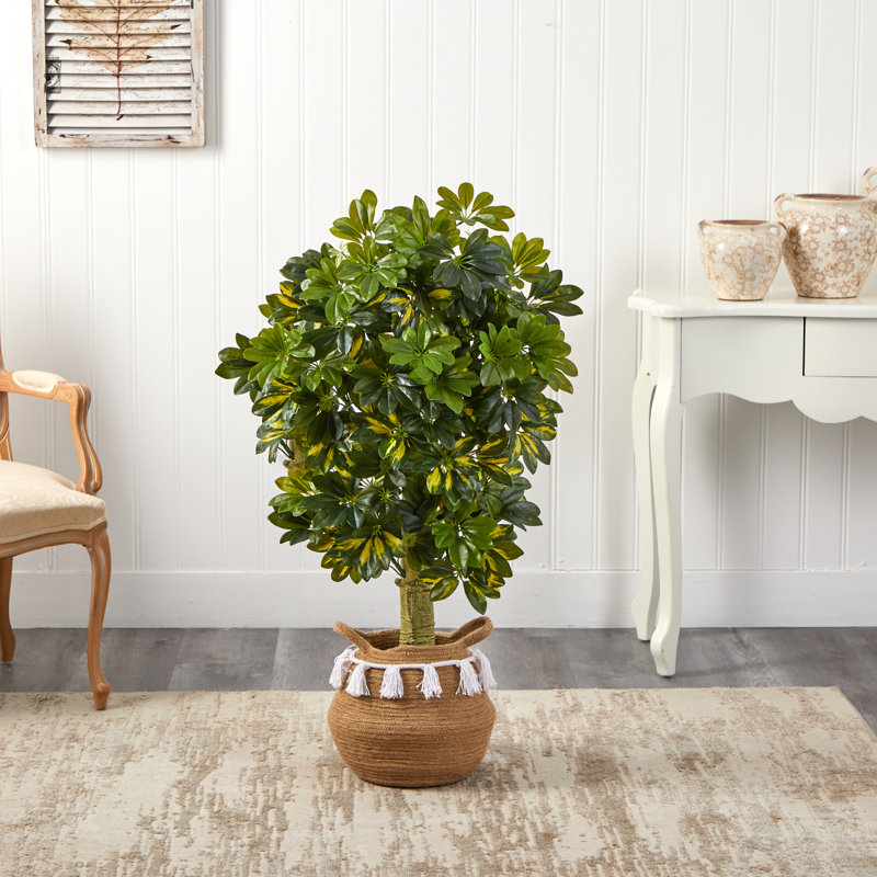 48'' Faux Foliage Tree in Basket