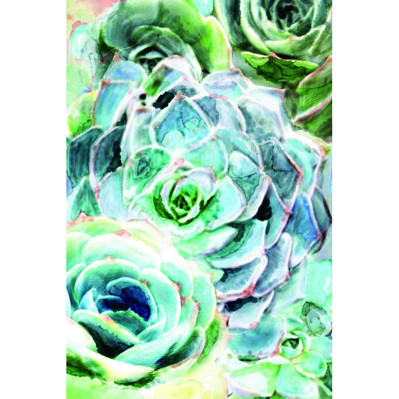 «Succulent Watercolor», reproduction sur toile tendue, L 24 po x H 36 po