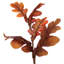Vickerman 35" Orange Autumn Oak Leaf Teardrop. It measures 35 by 7.5 inches.
