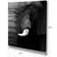 « éléphant head close up », reproduction de photo sur toile tendue-29496793