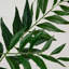 38in. Artificial Palmate Fern Stems, Set of 3