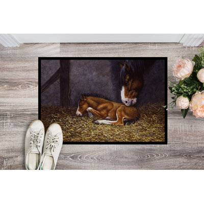 Non-Slip Outdoor Doormat