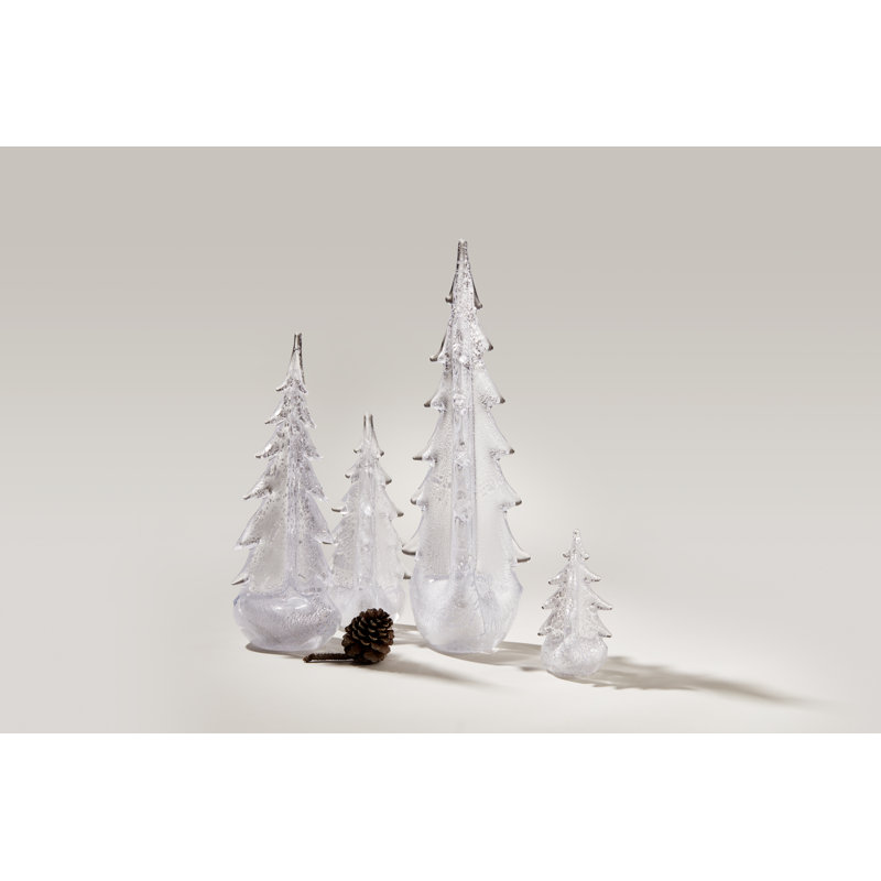 Silver Leaf Evergreen, 10 inch