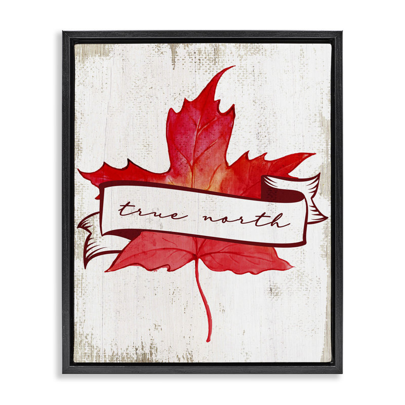 Cadre flottant True North Maple Leaf, design par Lil 'Rue, Cadre flottant noir de jais, H 21 po x l 17 po