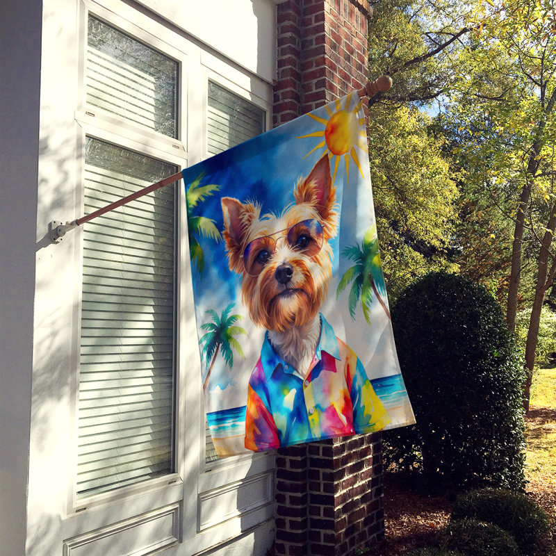 Drapeau de la maison esquimau américain, Yorkshire Terrier