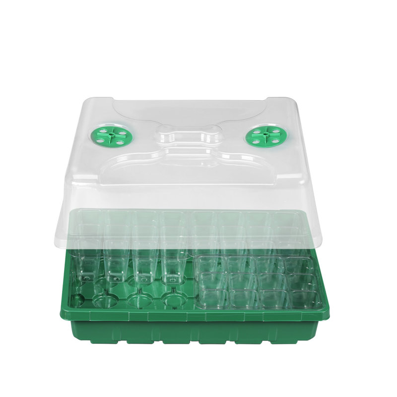 Trousse de croissance, Vert
