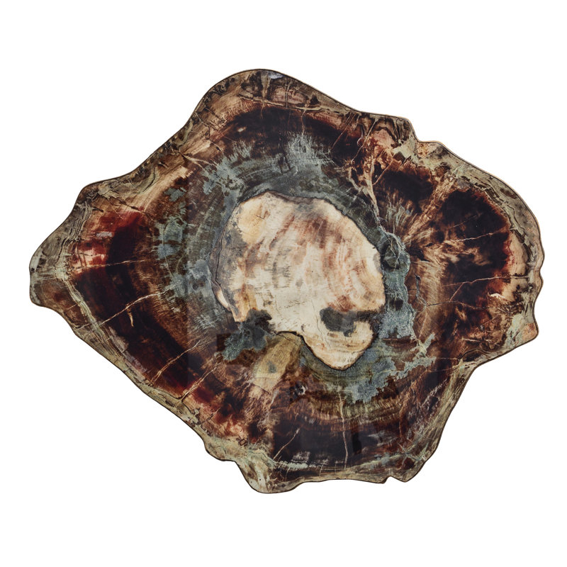Fossil Placemat
