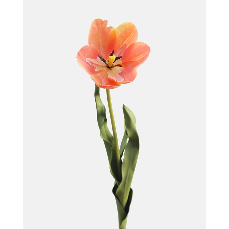 Yellow Orange Tulip 22.5", White