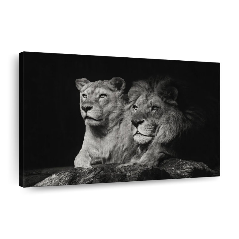 Lion And Lioness Mates Canvas Print, 48" H x 32" W x 1.25" D