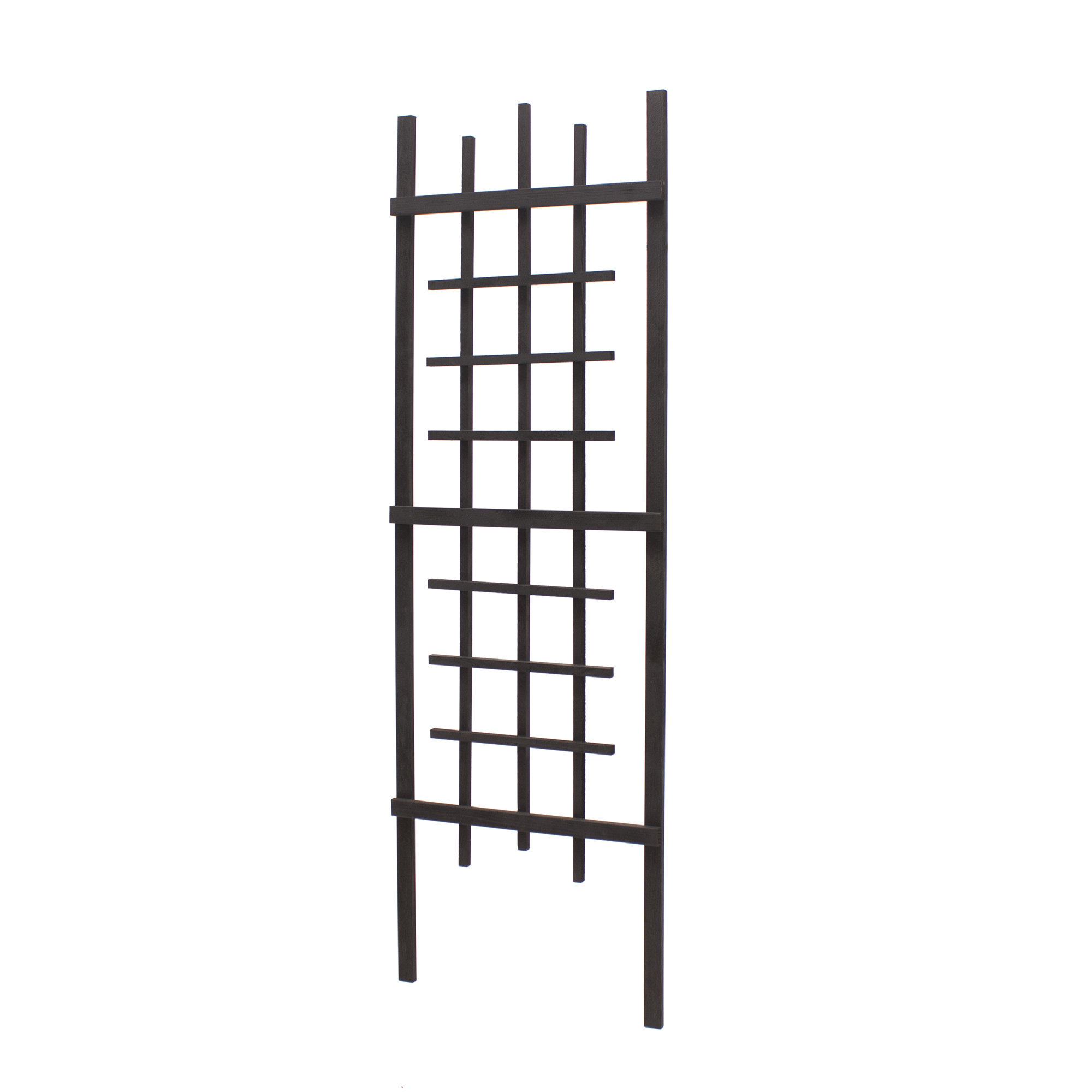 Arlmont & Co. Anana 72 H x 23.75 W Cape Town Trellis & Reviews | Wayfair