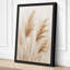 Delicate Pampas Plumes Botanical - Wrapped Canvas-2110854425-2110854430