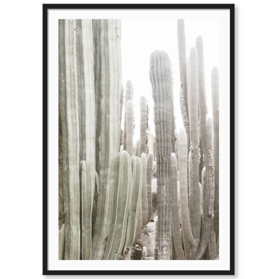 California Cactus par Carly Tabak - Photographie de cadre