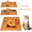 Tunnel pour chat pour chat d'intérieur