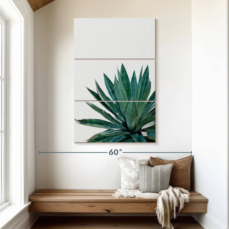 Cactus Harnek Agave, H 50 po x l 32 po