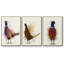Pheasant Splash 3 3 pièces-91415681-91415684