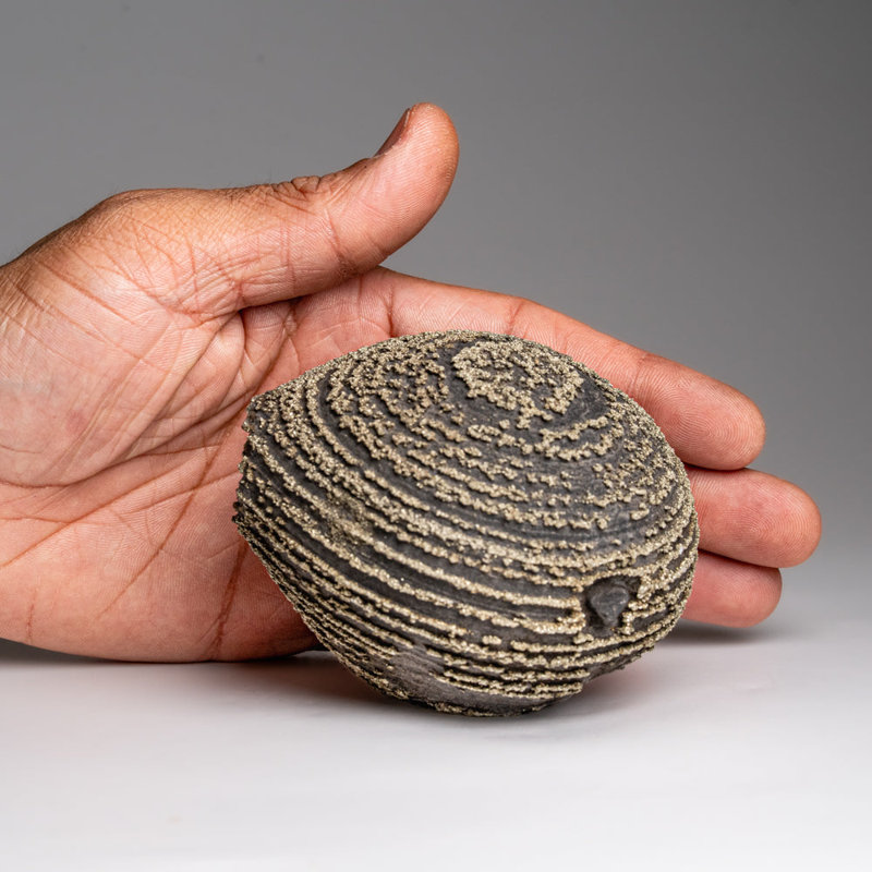 Pyrite Concretion From Dongchuan District, Yunnan Province, China