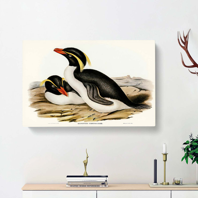 Crested Penguins by Elizabeth Gould - Wrapped Canvas, 35cm H x 50cm W x 3cm D
