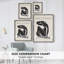 Matisse CECL XXVI, reproduction d'art encadrée - bois massif-107302949