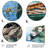 Coastal Nautical & Beach Wall Decor on Metal