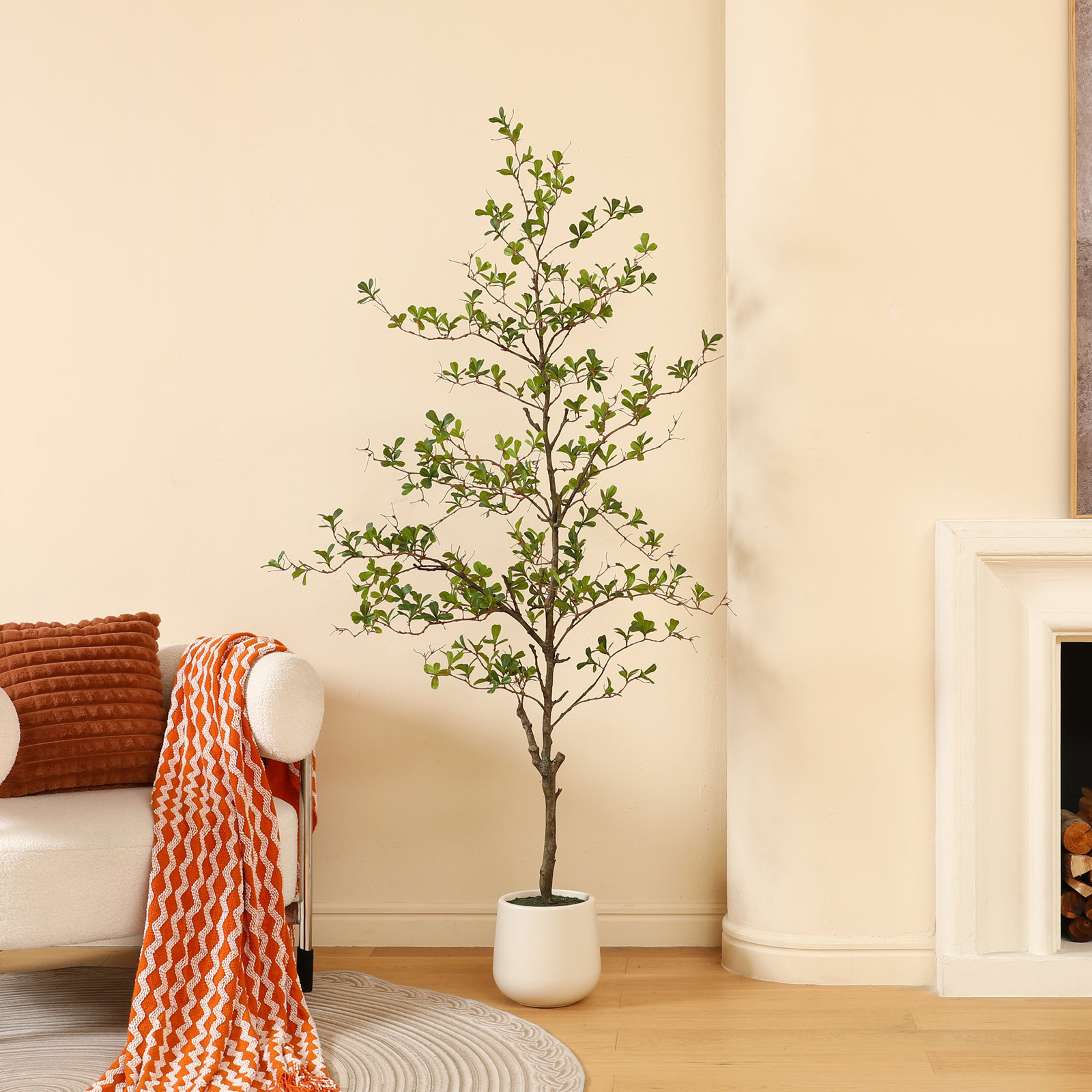 George Olive Tree in Pot, 72" H x 24" W x 24" D