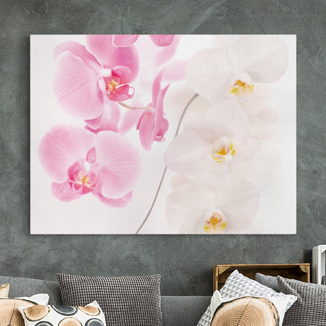 Leinwandbild Zarte Orchideen