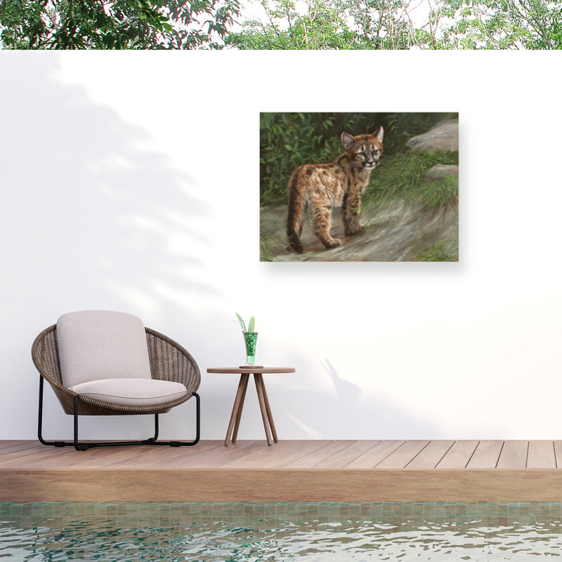 Toile d'extérieur David Stribble Cougar Cub, H 24 po x l 32 po