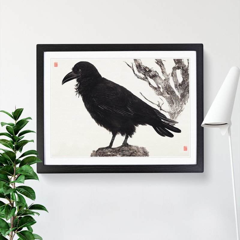 Amazing Raven Bird - Framed Print, Black Framed, 46cm H x 64cm W x 2cm D