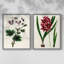 AntiqueFloralFolioIX - reproduction encadrée de qualité supérieure - prête à être accrochée - aucun clou requis - aucun clou requis-1289092260-1289092259
