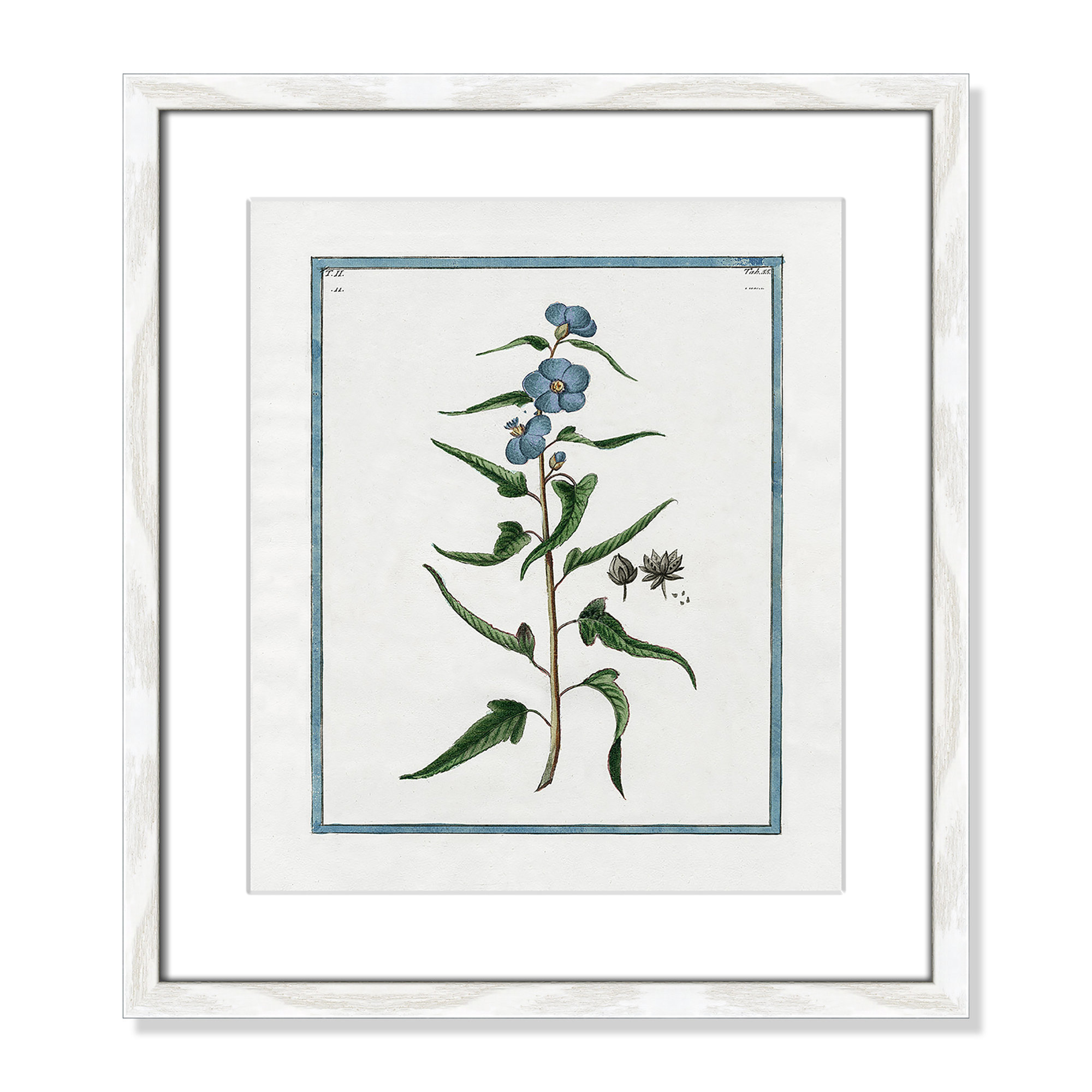 Shabby Elegance Botanical I - Framed Art Full Bleed, White Framed, 13" W x 15" H