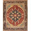 Indian Wool Oriental Area Rug
