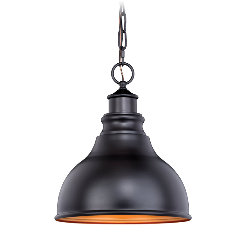 Luminaire suspendu d'extérieur en bronze poli à l'huile à 1 lumière dorée Flavin
