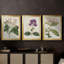 Antique Antique Botanical Collection-1549653827-1549653836