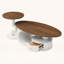 Ensemble de 2 tables basses gigognes-117204450-117204451