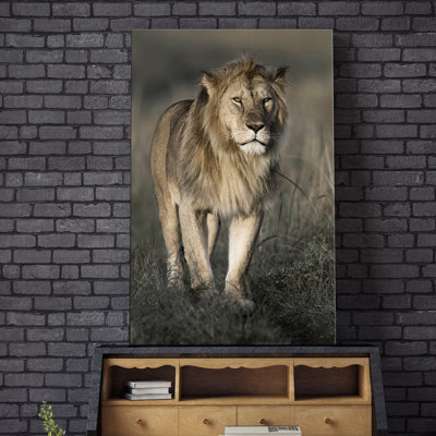 «Morning Walk in Masai Mara», reproduction de photo sur toile tendue