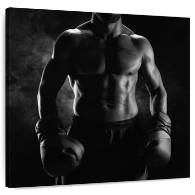 Sireci Muscular Boxer